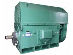 Y8007-8Y系列6KV高压电机